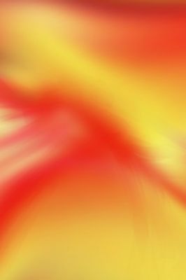 - - wallpaper preview