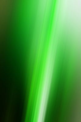 - - wallpaper preview