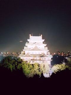 Nagoya Castle at Night
