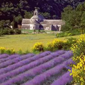 Learn French in Provence 
