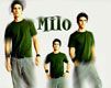 Milo Ventimiglia - wallpaper preview