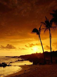 Maldiv Sunset