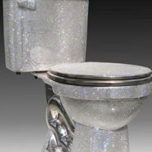 Toilet is embedded with Swarvoski Crystals