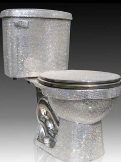 Toilet is embedded with Swarvoski Crystals