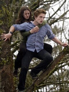 Twilight - wallpaper preview