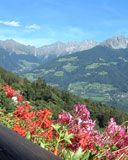 Tirol - wallpaper preview