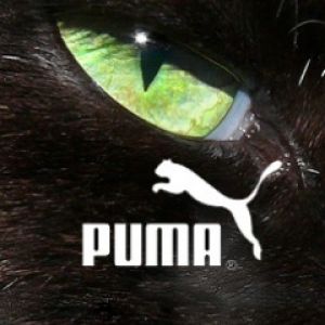 Free mobile wallpapers  tagged puma  ZOXEE