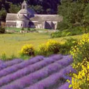 Learn French in Provence
