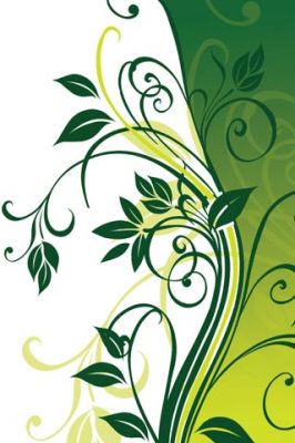 - - wallpaper preview