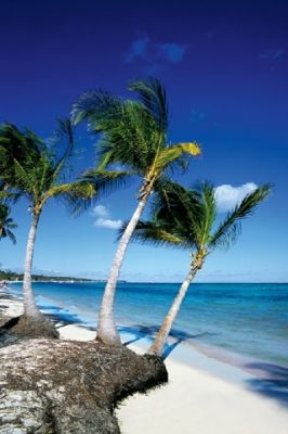 Punta Cana - wallpaper preview