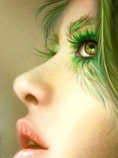 - - wallpaper preview