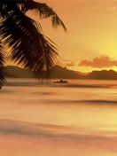 Seychelles Sunset