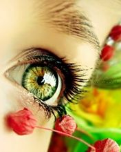 Beautiful Eye with Flowers - wallpaper preview