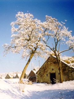 Snowy Winter Landscape - wallpaper preview