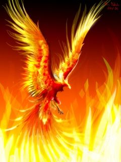 Fiery Phoenix Artwork - wallpaper preview