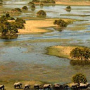 Safari by Botswana Odyssey