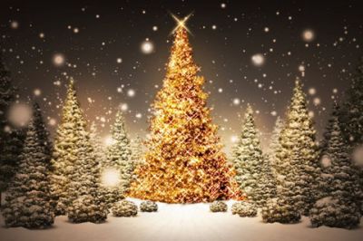 Christmas Tree in Snow - wallpaper preview