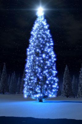 Glowing Blue Christmas Tree - wallpaper preview