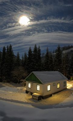 Moonlit Winter Night