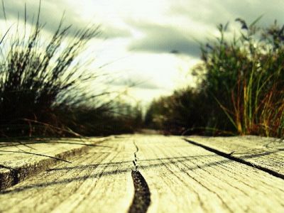 Serene Nature Path - wallpaper preview