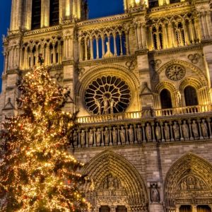 Notre Dame de Paris Christmas