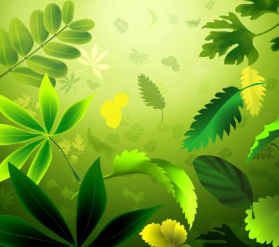 Green Leaves Background - wallpaper preview