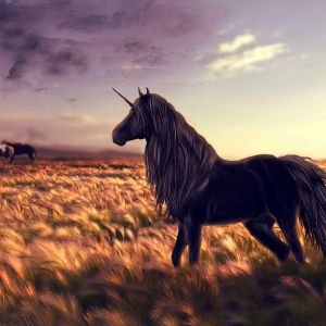 Horse Unicorn 