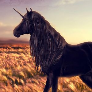 Horse - Unicorn