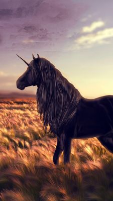 Horse - Unicorn