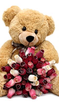 Cute bear with roses