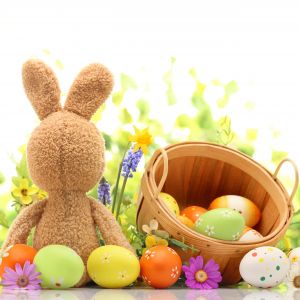 Easter eggs with bunny