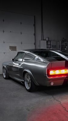 Mustang garage