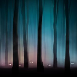 Forest creatures in the dark